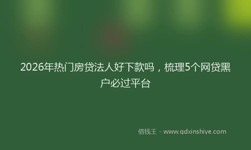2026年热门房贷法人好下款吗，梳理5个网贷黑户必过平台