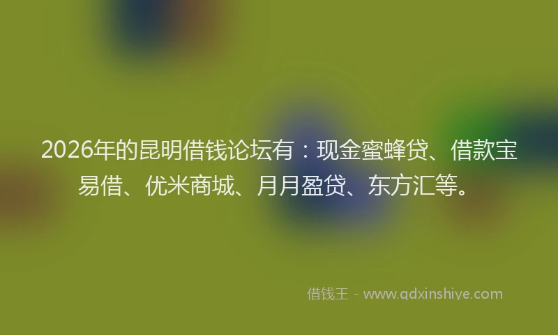 2026年的昆明借钱论坛有：现金蜜蜂贷、借款宝易借、优米商城、月月盈贷、东方汇等。