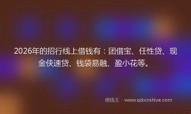 2026年的招行线上借钱有：团借宝、任性贷、现金侠速贷、钱袋易融、盈小花等。