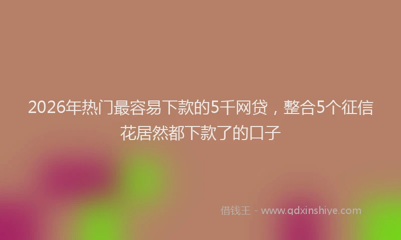 2026年热门最容易下款的5千网贷，整合5个征信花居然都下款了的口子