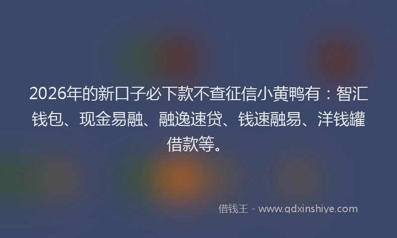 2026年的新口子必下款不查征信小黄鸭有：智汇钱包、现金易融、融逸速贷、钱速融易、洋钱罐借款等。