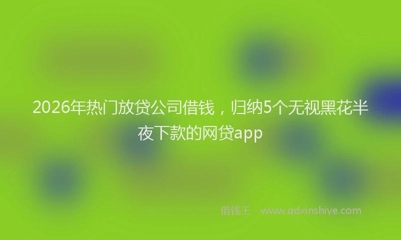 2026年热门放贷公司借钱，归纳5个无视黑花半夜下款的网贷app