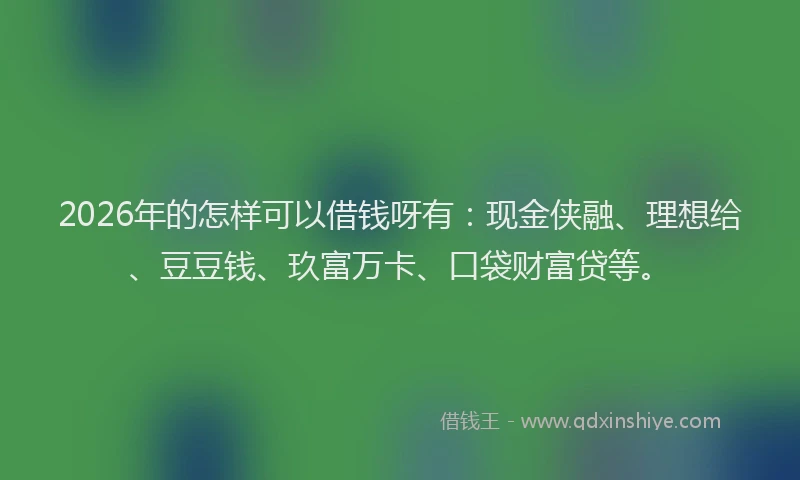 2026年的怎样可以借钱呀有：现金侠融、理想给、豆豆钱、玖富万卡、口袋财富贷等。