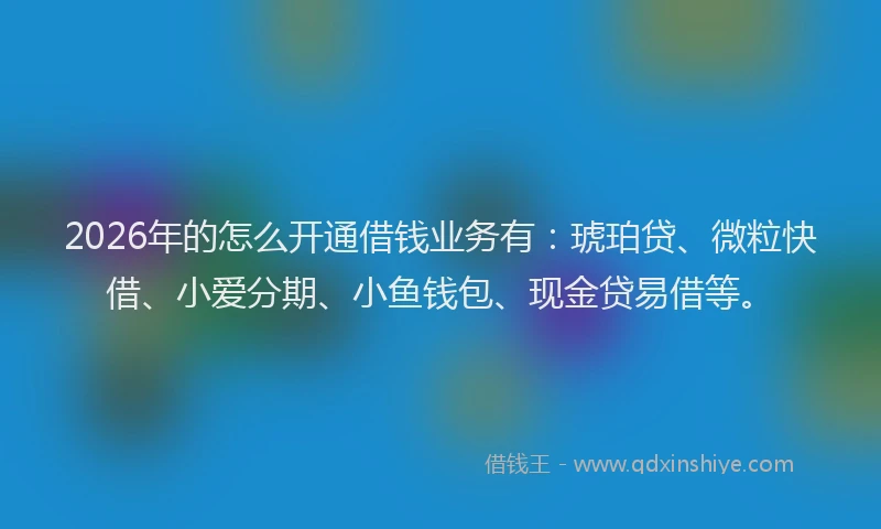 2026年的怎么开通借钱业务有：琥珀贷、微粒快借、小爱分期、小鱼钱包、现金贷易借等。