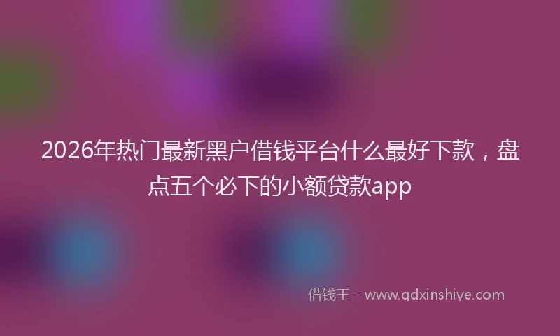 2026年热门最新黑户借钱平台什么最好下款，盘点五个必下的小额贷款app