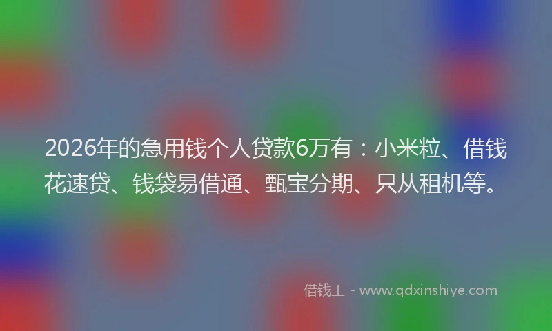 2026年的急用钱个人贷款6万有:小米粒、借钱花速贷、钱袋易借通、甄宝分期、只从租机等。