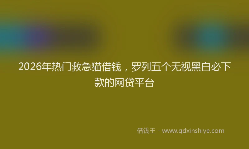 2026年热门救急猫借钱，罗列五个无视黑白必下款的网贷平台
