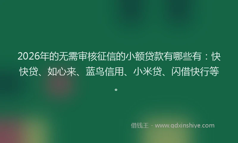 2026年的无需审核征信的小额贷款有哪些有：快快贷、如心来、蓝鸟信用、小米贷、闪借快行等。