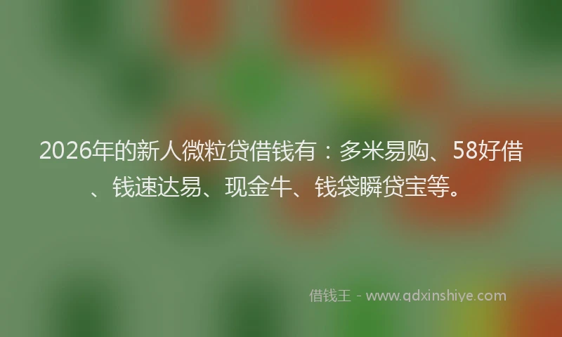 2026年的新人微粒贷借钱有：多米易购、58好借、钱速达易、现金牛、钱袋瞬贷宝等。