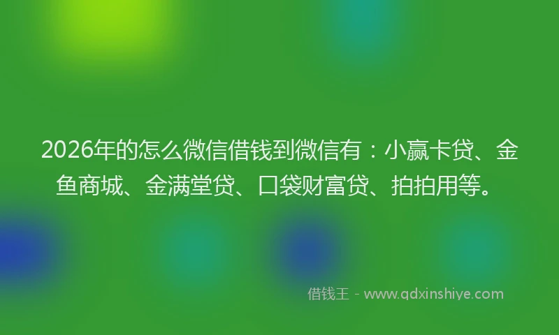 2026年的怎么微信借钱到微信有：小赢卡贷、金鱼商城、金满堂贷、口袋财富贷、拍拍用等。