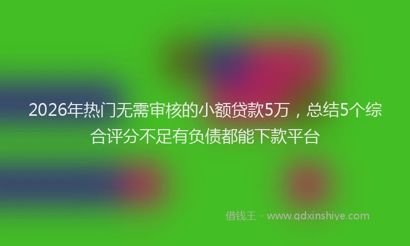 2026年热门无需审核的小额贷款5万，总结5个综合评分不足有负债都能下款平台