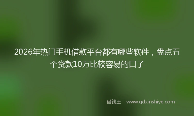 2026年热门手机借款平台都有哪些软件，盘点五个贷款10万比较容易的口子
