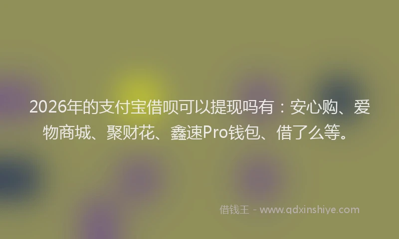 2026年的支付宝借呗可以提现吗有：安心购、爱物商城、聚财花、鑫速Pro钱包、借了么等。