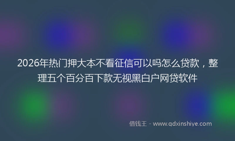 2026年热门押大本不看征信可以吗怎么贷款，整理五个百分百下款无视黑白户网贷软件
