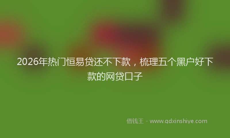2026年热门恒易贷还不下款，梳理五个黑户好下款的网贷口子