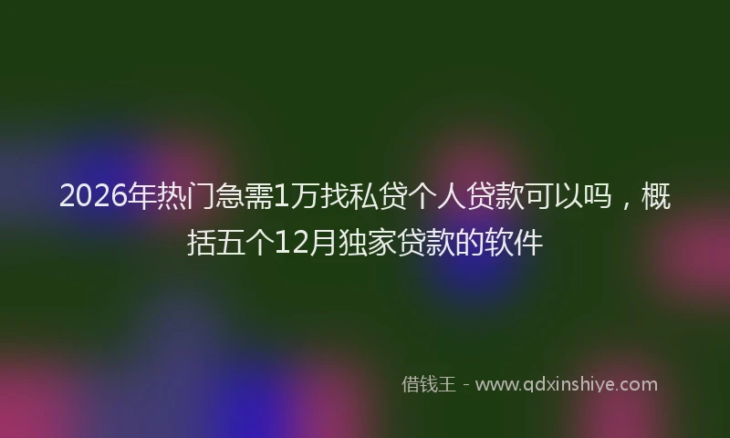 2026年热门急需1万找私贷个人贷款可以吗,概括五个12月独家贷款的软件