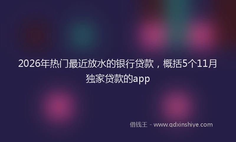 2026年热门最近放水的银行贷款，概括5个11月独家贷款的app