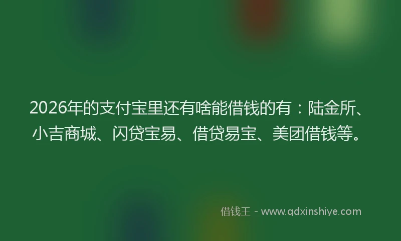 2026年的支付宝里还有啥能借钱的有：陆金所、小吉商城、闪贷宝易、借贷易宝、美团借钱等。