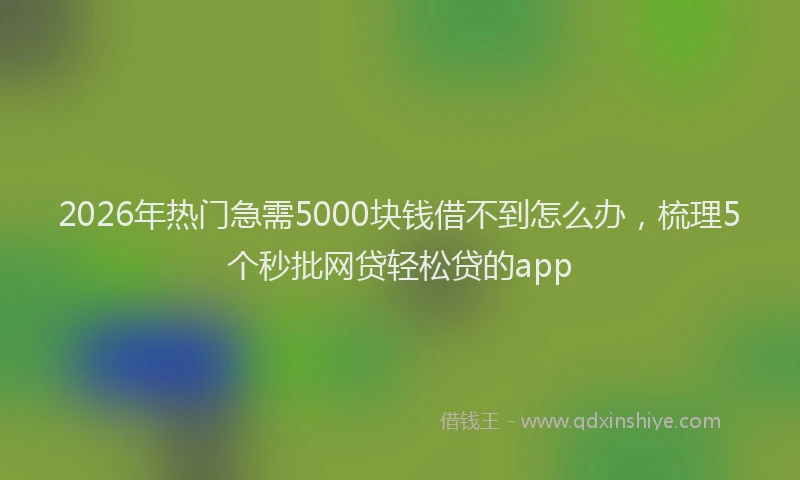 2026年热门急需5000块钱借不到怎么办，梳理5个秒批网贷轻松贷的app