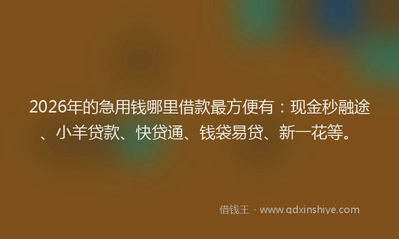 2026年的急用钱哪里借款最方便有:现金秒融途、小羊贷款、快贷通、钱袋易贷、新一花等。