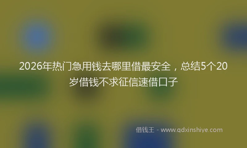 2026年热门急用钱去哪里借最安全，总结5个20岁借钱不求征信速借口子