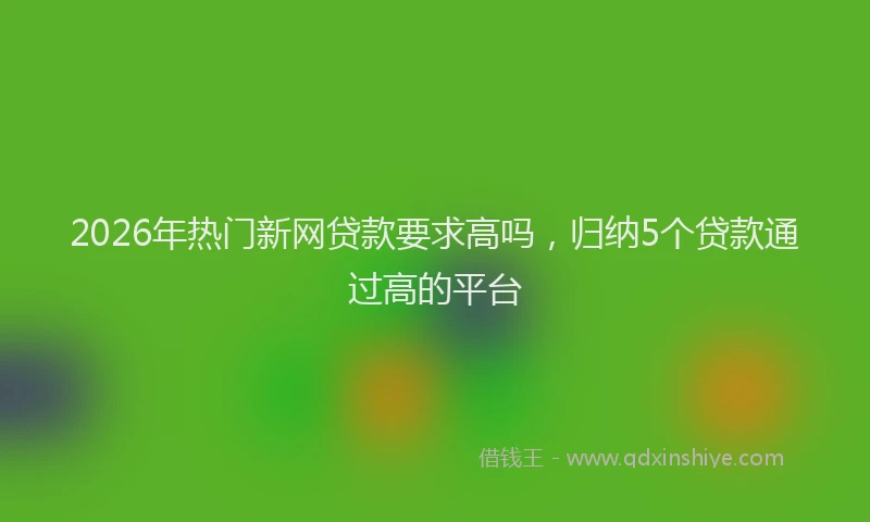 2026年热门新网贷款要求高吗，归纳5个贷款通过高的平台
