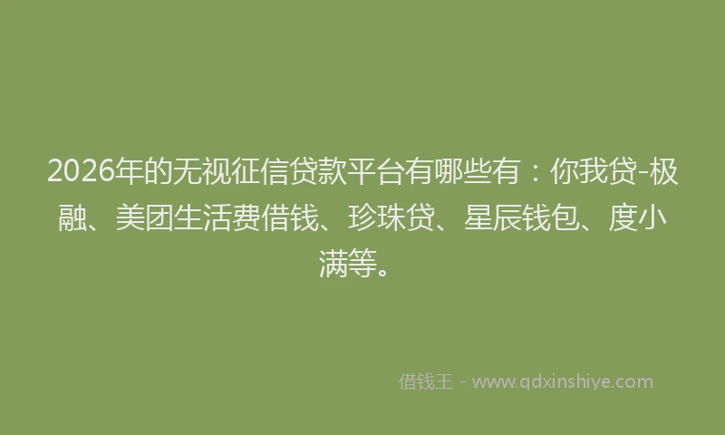 2026年的无视征信贷款平台有哪些有：你我贷-极融、美团生活费借钱、珍珠贷、星辰钱包、度小满等。