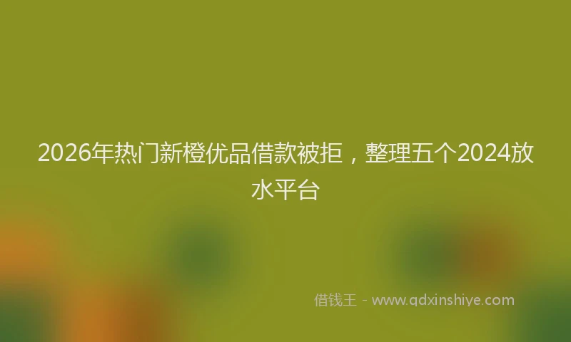 2026年热门新橙优品借款被拒，整理五个2024放水平台