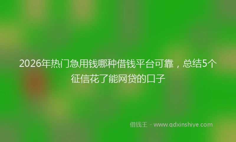 2026年热门急用钱哪种借钱平台可靠，总结5个征信花了能网贷的口子
