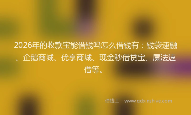 2026年的收款宝能借钱吗怎么借钱有：钱袋速融、企鹅商城、优享商城、现金秒借贷宝、魔法速借等。