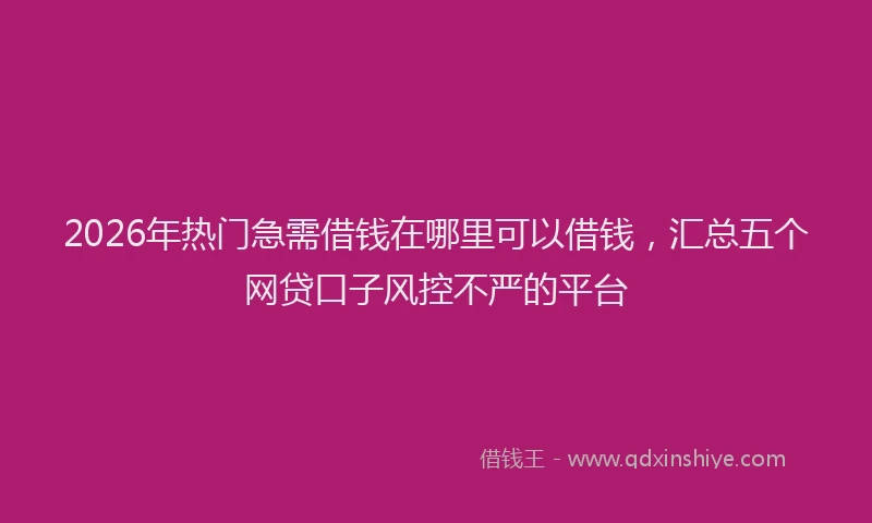 2026年热门急需借钱在哪里可以借钱，汇总五个网贷口子风控不严的平台