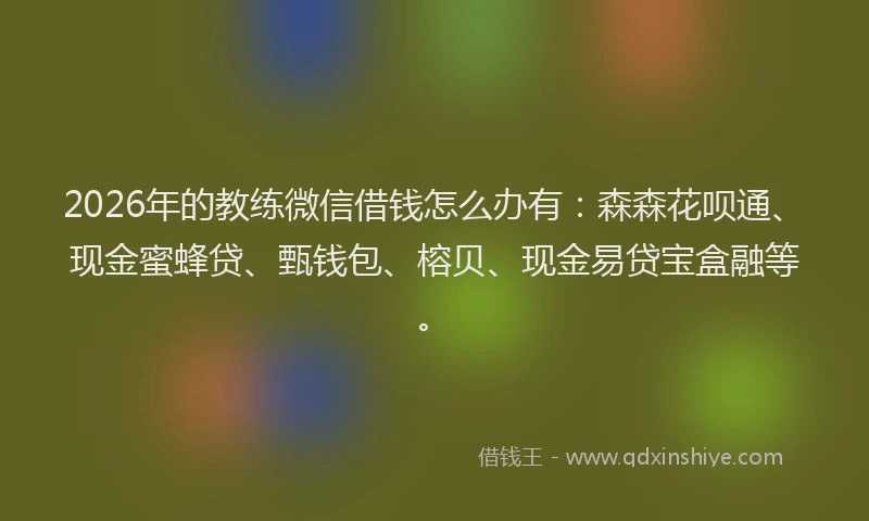 2026年的教练微信借钱怎么办有：森森花呗通、现金蜜蜂贷、甄钱包、榕贝、现金易贷宝盒融等。