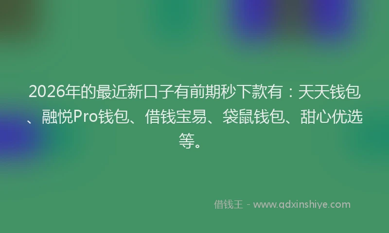2026年的最近新口子有前期秒下款有：天天钱包、融悦Pro钱包、借钱宝易、袋鼠钱包、甜心优选等。