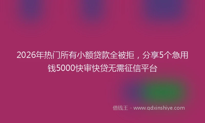2026年热门所有小额贷款全被拒，分享5个急用钱5000快审快贷无需征信平台