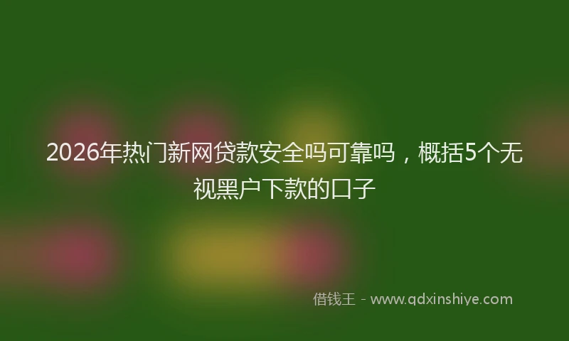 2026年热门新网贷款安全吗可靠吗，概括5个无视黑户下款的口子