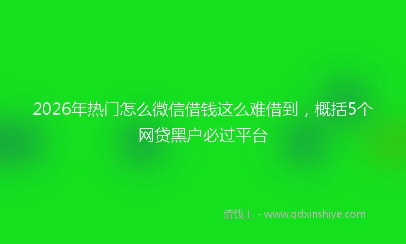 2026年热门怎么微信借钱这么难借到，概括5个网贷黑户必过平台