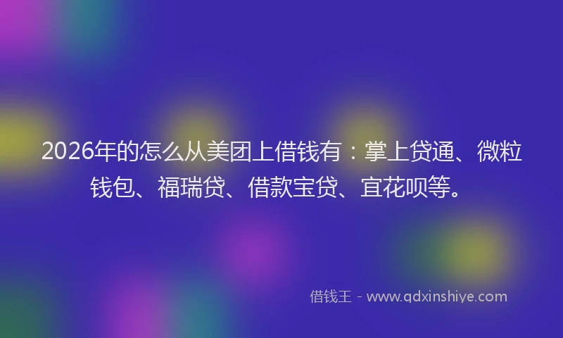 2026年的怎么从美团上借钱有:掌上贷通、微粒钱包、福瑞贷、借款宝贷、宜花呗等。