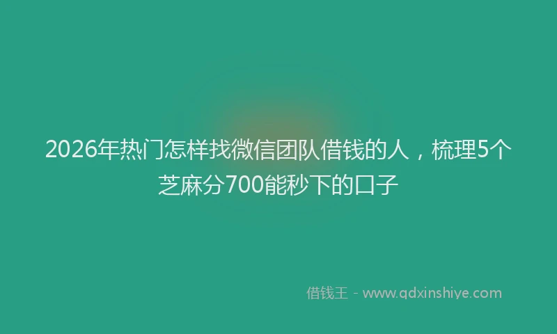 2026年热门怎样找微信团队借钱的人,梳理5个芝麻分700能秒下的口子