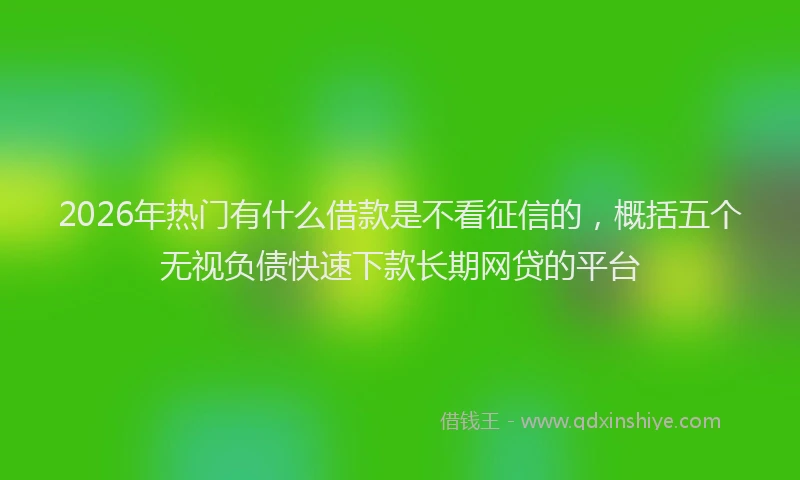 2026年热门有什么借款是不看征信的，概括五个无视负债快速下款长期网贷的平台