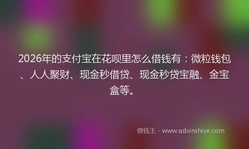 2026年的支付宝在花呗里怎么借钱有：微粒钱包、人人聚财、现金秒借贷、现金秒贷宝融、金宝盒等。