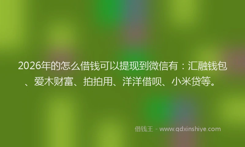 2026年的怎么借钱可以提现到微信有：汇融钱包、爱木财富、拍拍用、洋洋借呗、小米贷等。