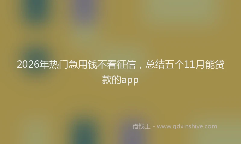 2026年热门急用钱不看征信，总结五个11月能贷款的app