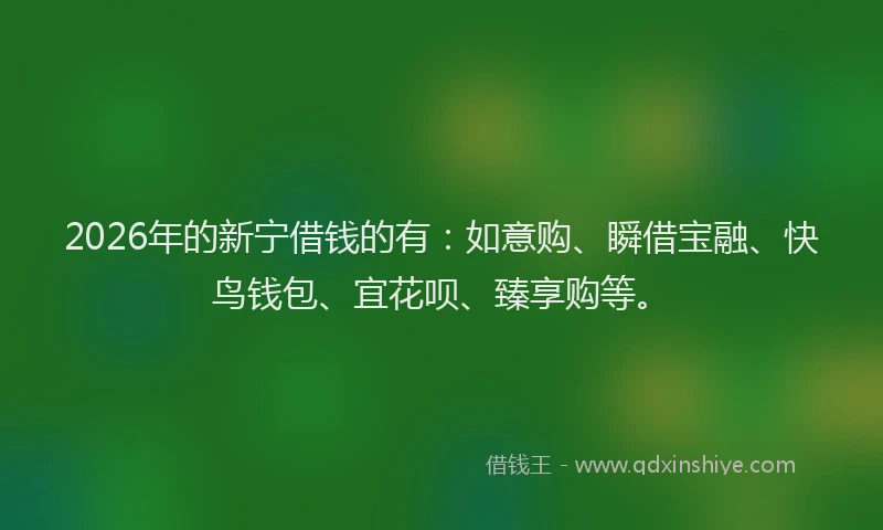 2026年的新宁借钱的有：如意购、瞬借宝融、快鸟钱包、宜花呗、臻享购等。