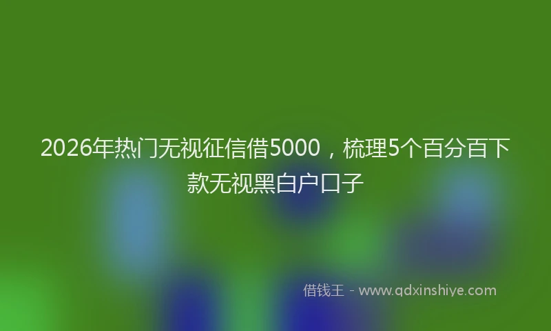 2026年热门无视征信借5000，梳理5个百分百下款无视黑白户口子