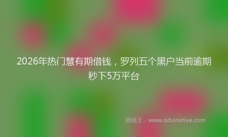 2026年热门慧有期借钱，罗列五个黑户当前逾期秒下5万平台