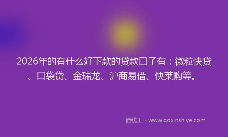 2026年的有什么好下款的贷款口子有：微粒快贷、口袋贷、金瑞龙、沪商易借、快莱购等。