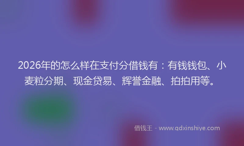 2026年的怎么样在支付分借钱有:有钱钱包、小麦粒分期、现金贷易、辉誉金融、拍拍用等。