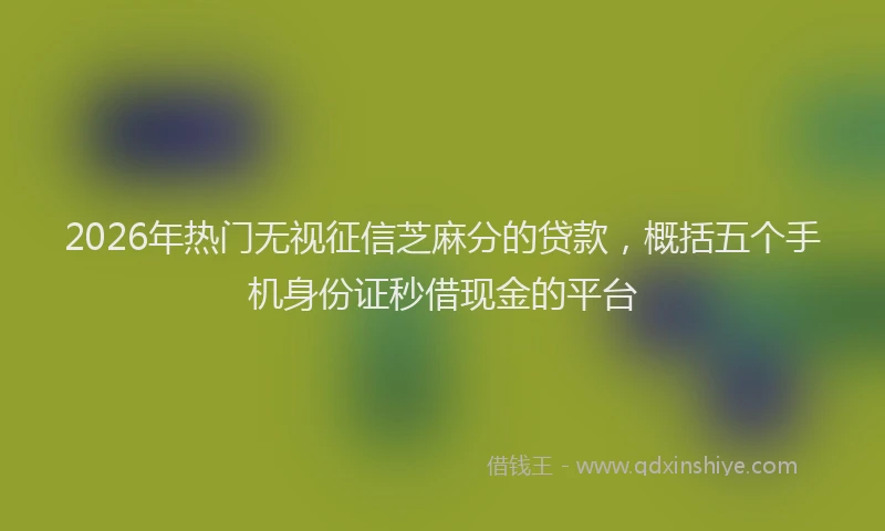 2026年热门无视征信芝麻分的贷款，概括五个手机身份证秒借现金的平台