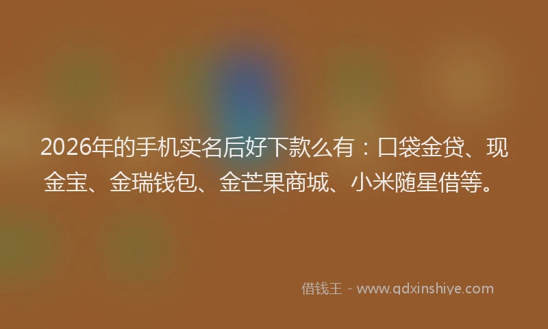 2026年的手机实名后好下款么有：口袋金贷、现金宝、金瑞钱包、金芒果商城、小米随星借等。