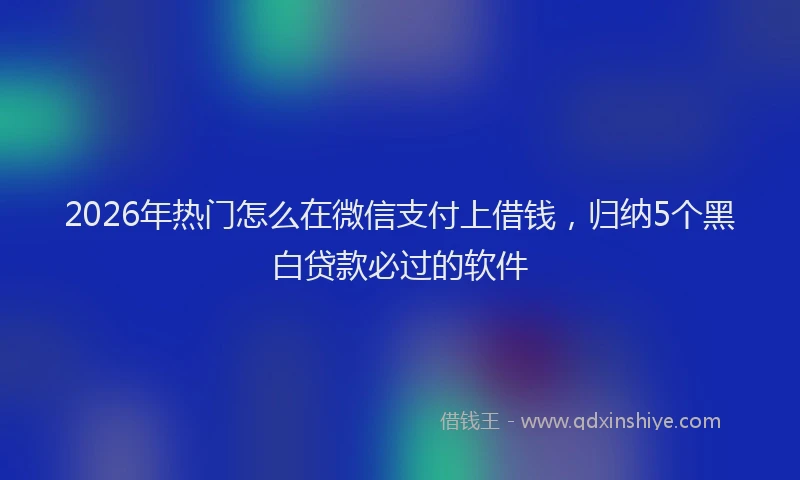 2026年热门怎么在微信支付上借钱，归纳5个黑白贷款必过的软件